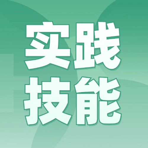圣云模拟实践技能